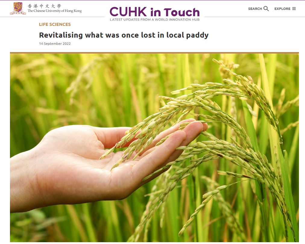 cu-in-touch-revitalising-what-was-once-lost-in-local-paddy-state